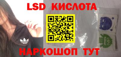 наркотики Сланцы